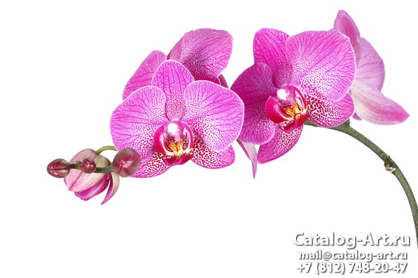 картинки для фотопечати на потолках, идеи, фото, образцы - Потолки с фотопечатью - Розовые орхидеи 84